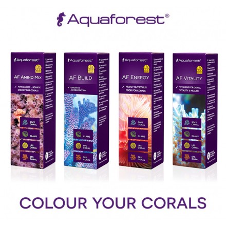 Aquaforest Питание для кораллов AF Amino Mix + AF Build + AF Energy + AF Vitality (4 х 10 мл)