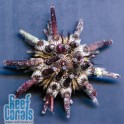 Pencil Urchins Карибский морской ёж